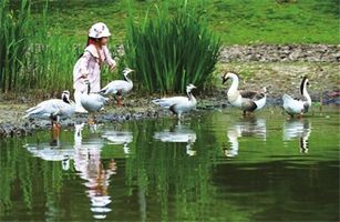 關(guān)于人與自然和諧共生，二十大報(bào)告中這樣說