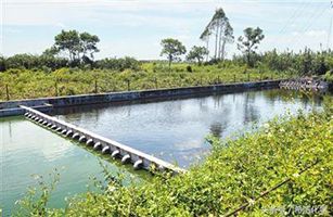 西南豐水地區(qū)農村污水處理新思路